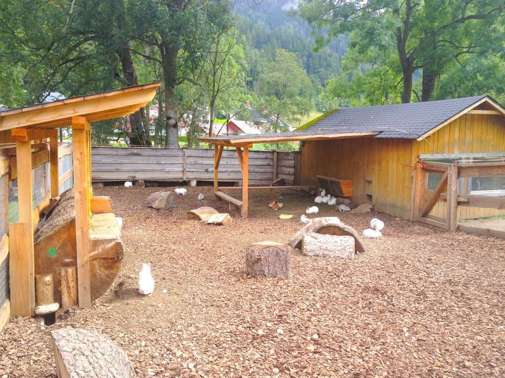 Kinderhotel Appelhof Mürzsteg Exterior foto